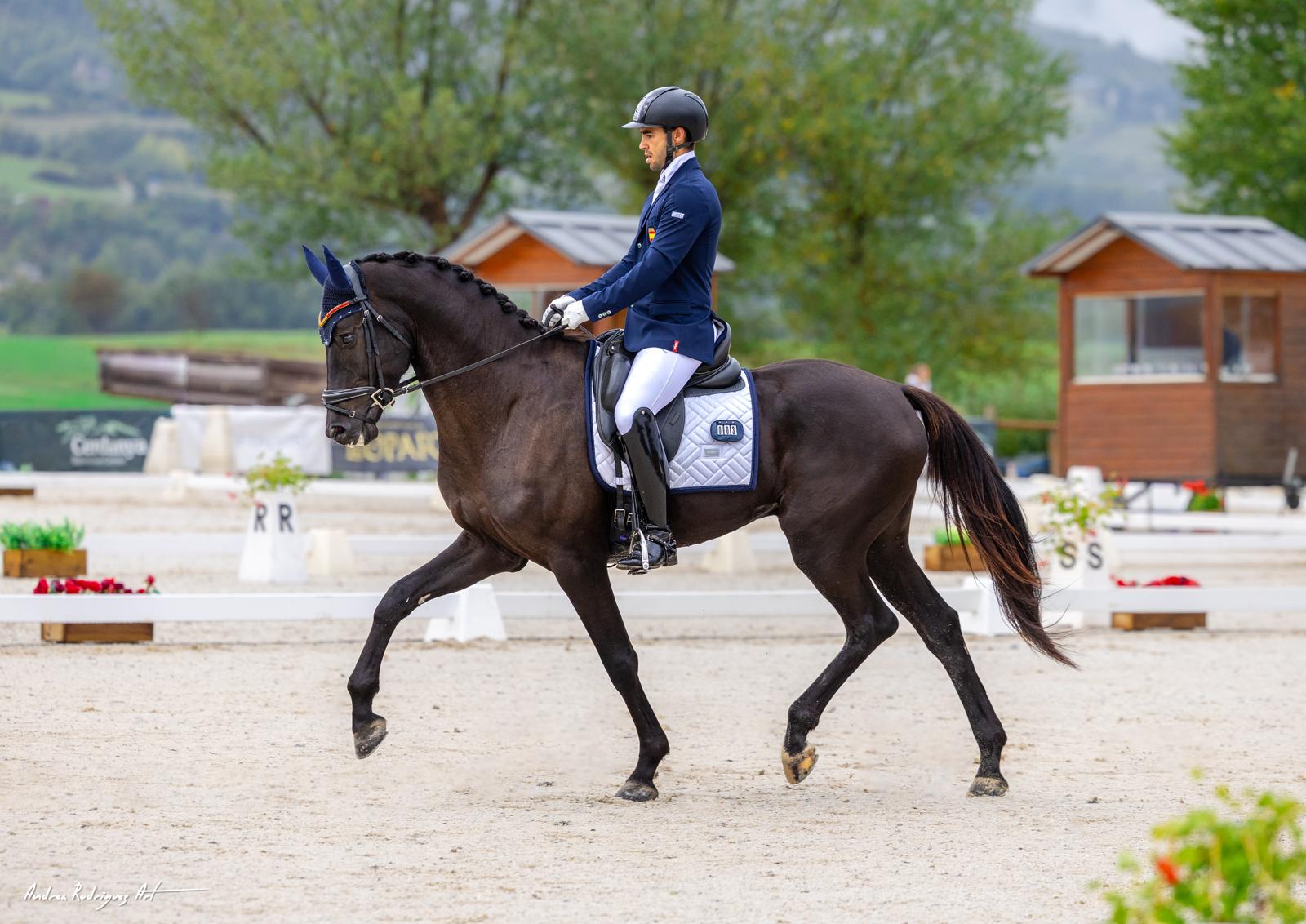 Adiestramiento de caballos con criterio y bienestar