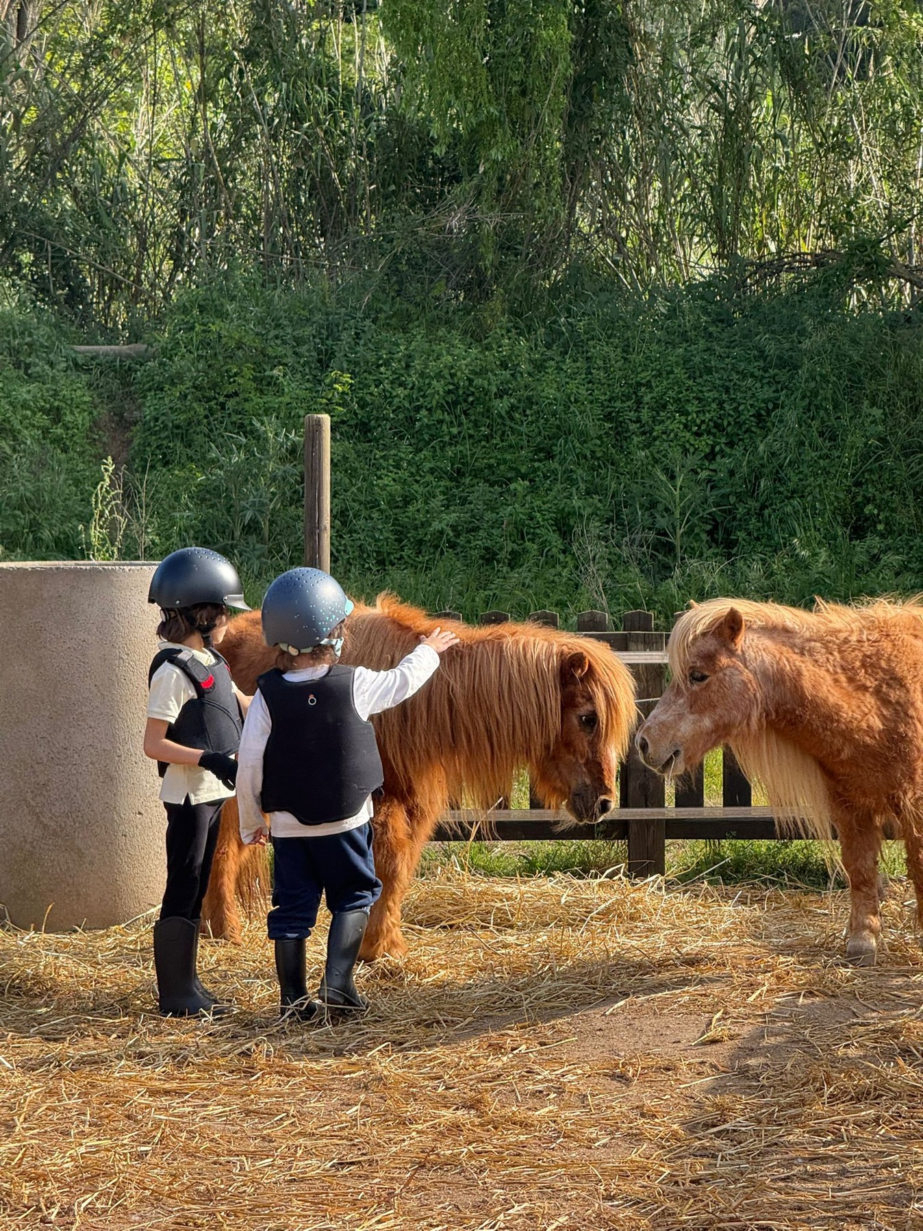 Formación por niveles, sin límite de edad — Club Hípic Vallès, Barberà del Vallès