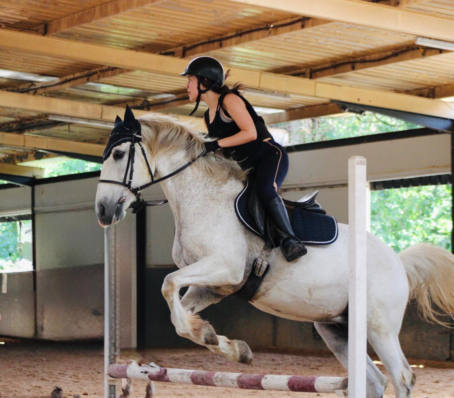 Caballo blanco saltando un obstáculo en la pista cubierta